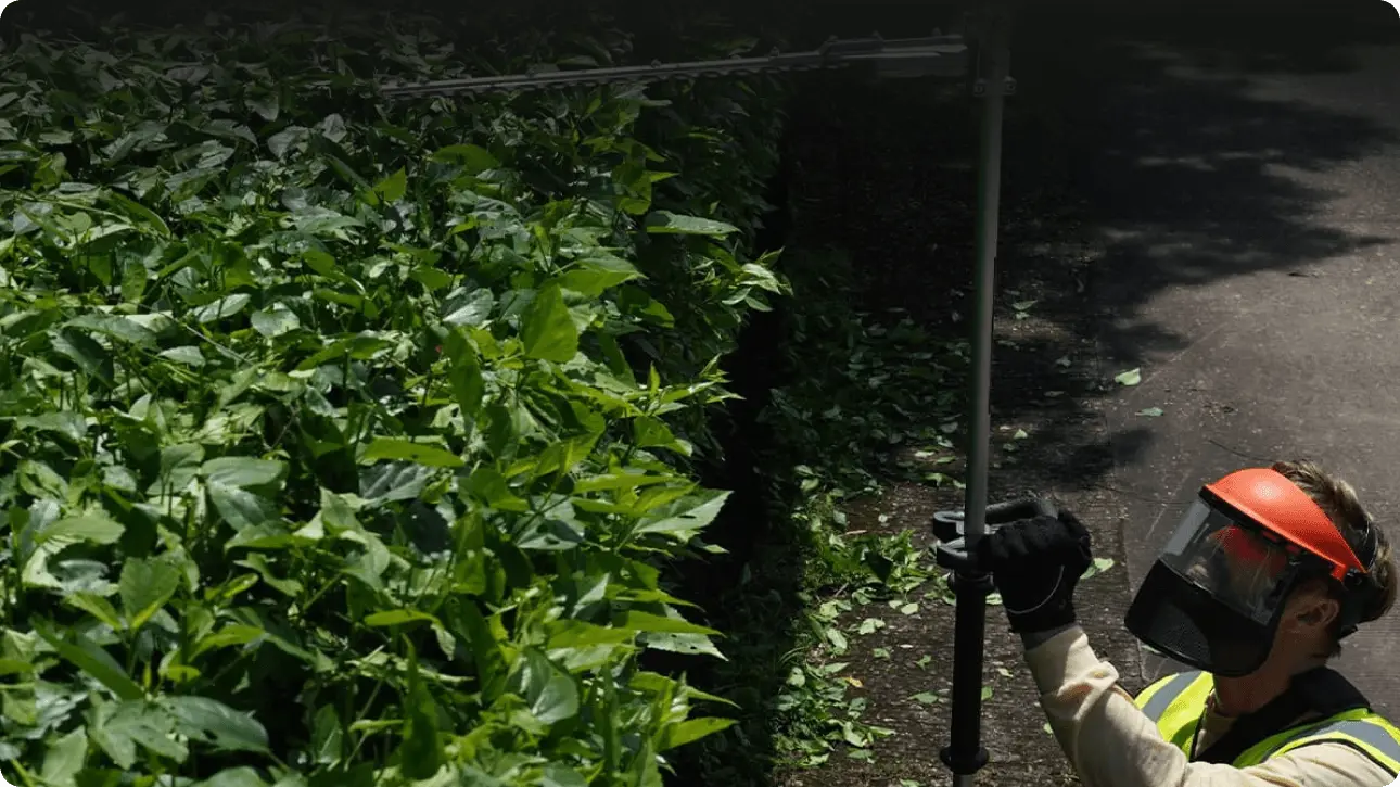 Разширен обхват