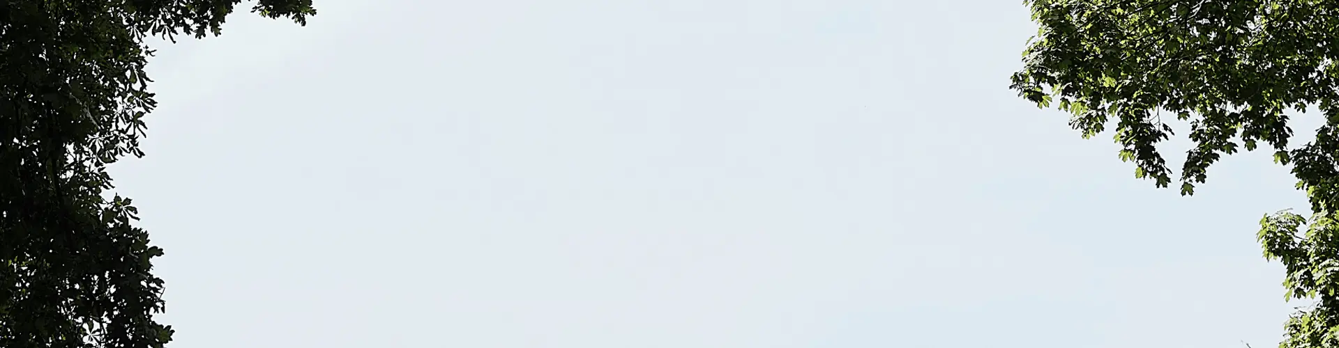 Finden Sie Shnell Einen Händler in Ihrer Nähe