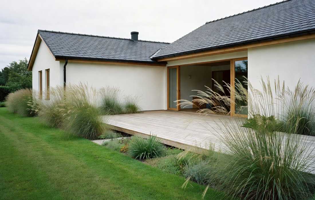 modern house with lawn