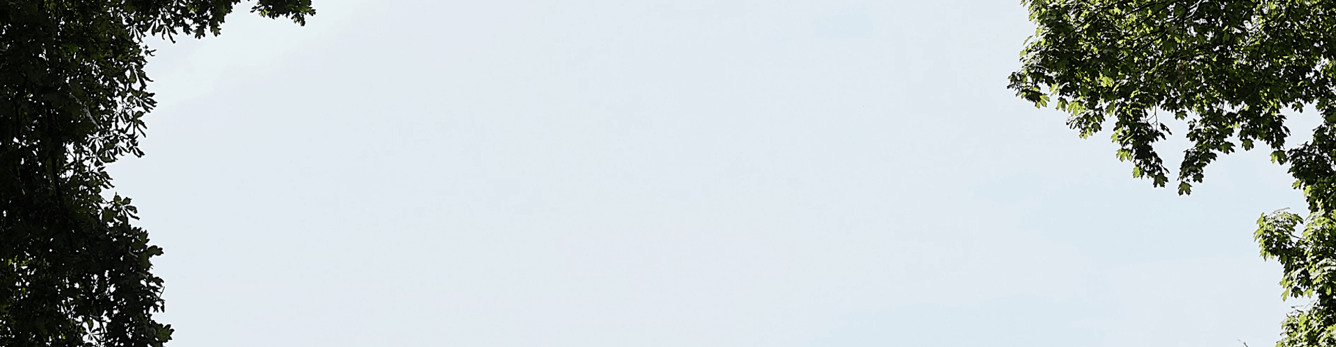 Find en lokal forhandler