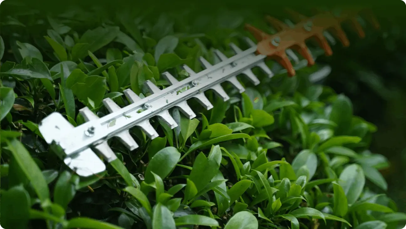 Potente motor sin escobillas