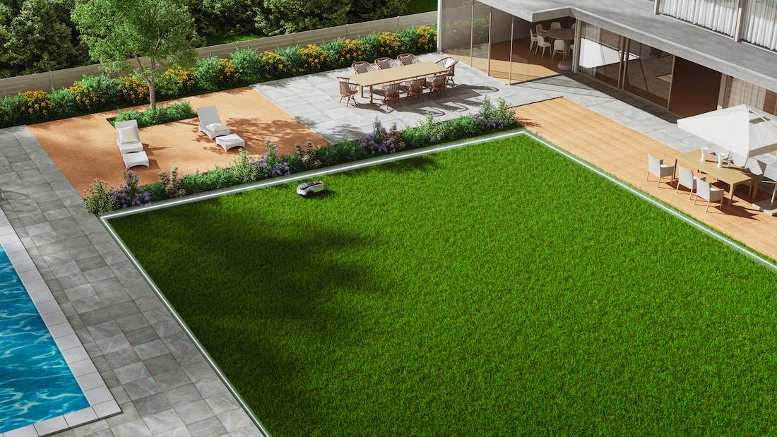 Quand tondre apr&egrave;s un sursemis 