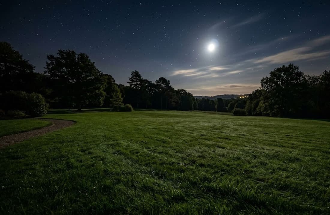 quand tondre la pelouse avec la lune