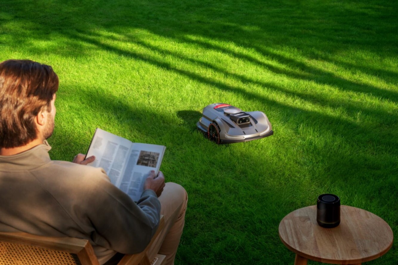 When is the Best Time to Mow the Lawn?