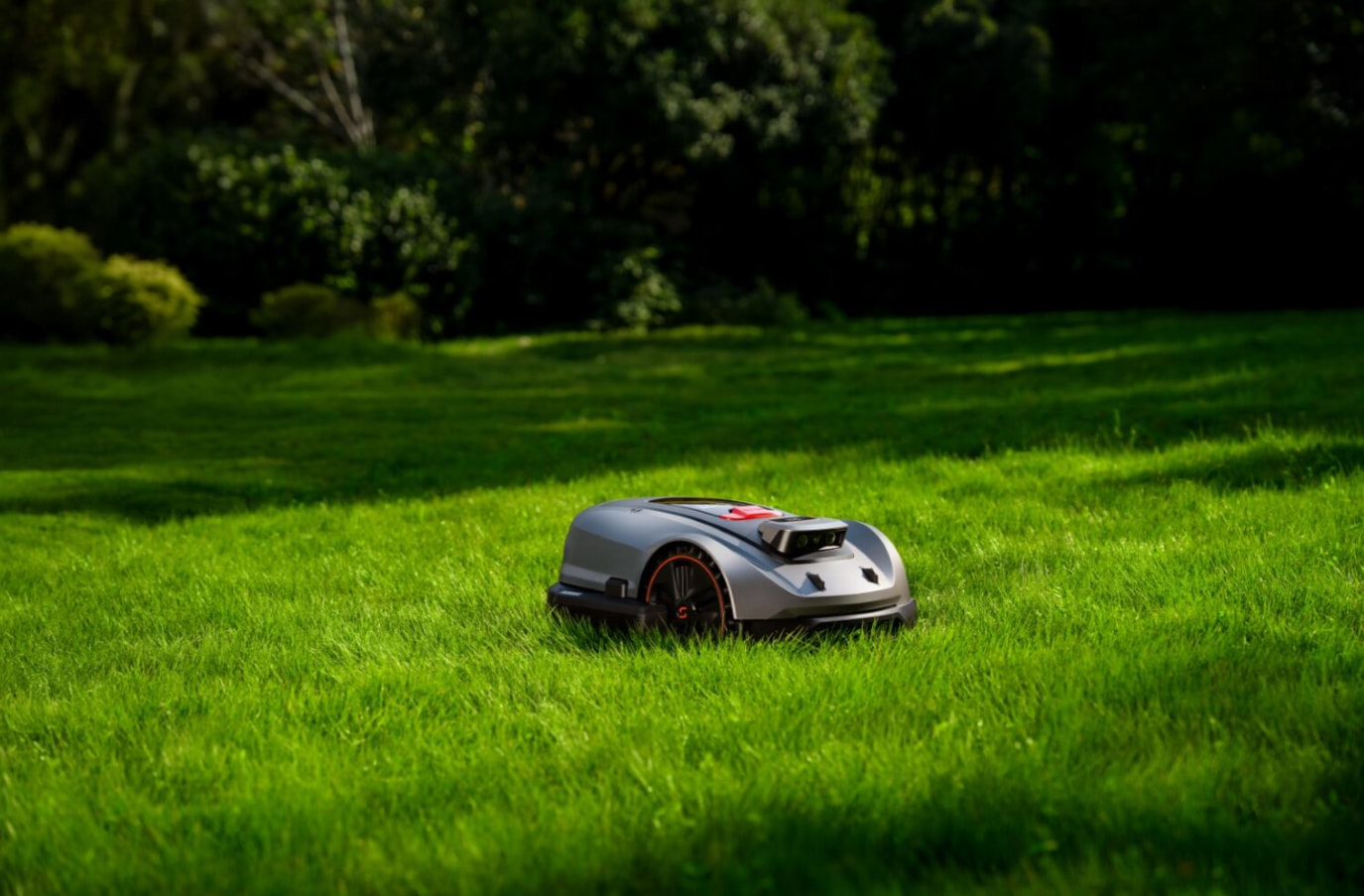 Can You Mow the Lawn When the Grass is Wet?