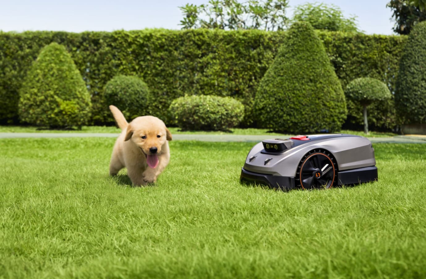 Embrace Eco-Friendly Lawn Care for a Green Garden