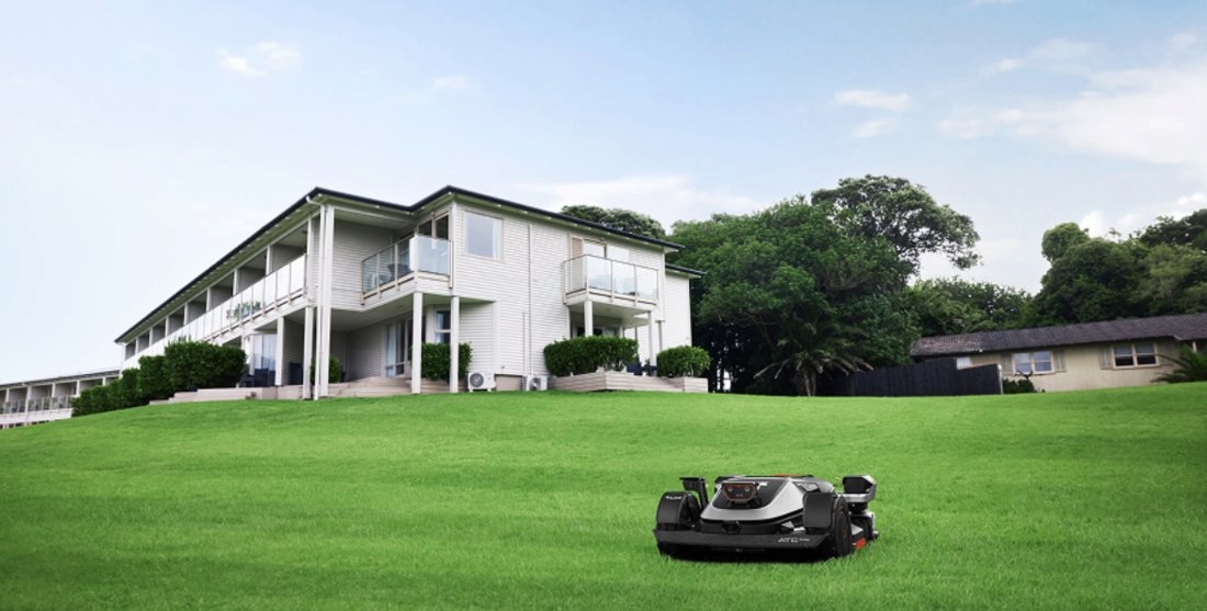 How to Get Rid of Tall Fescue Grass in Lawn for Good