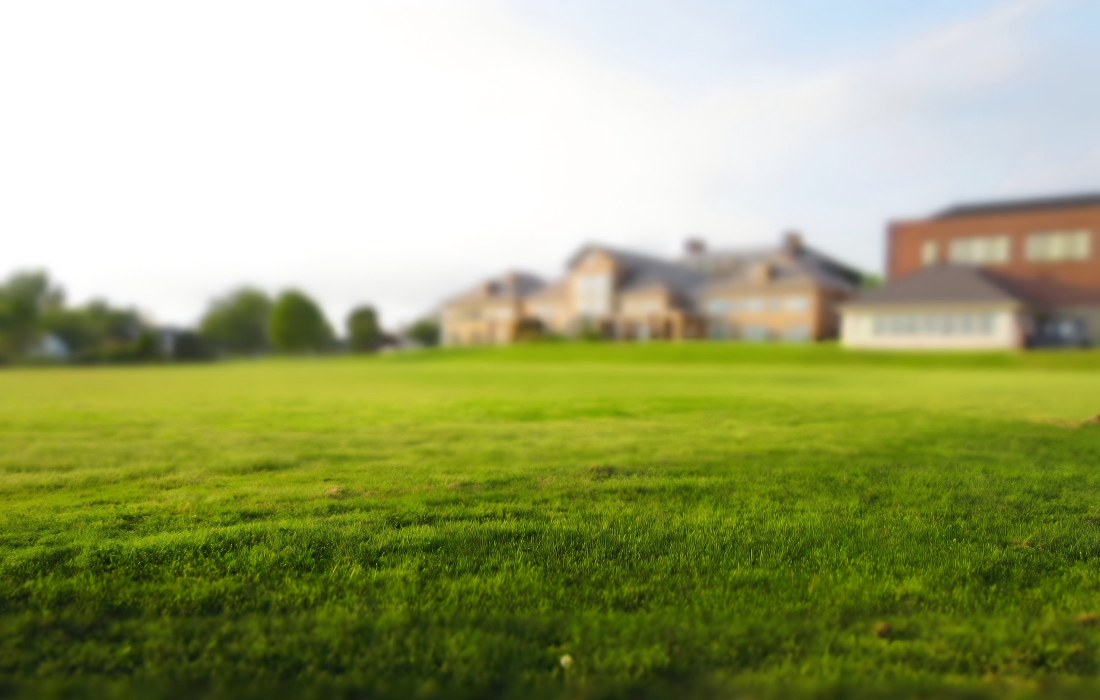 a beautiful lawn