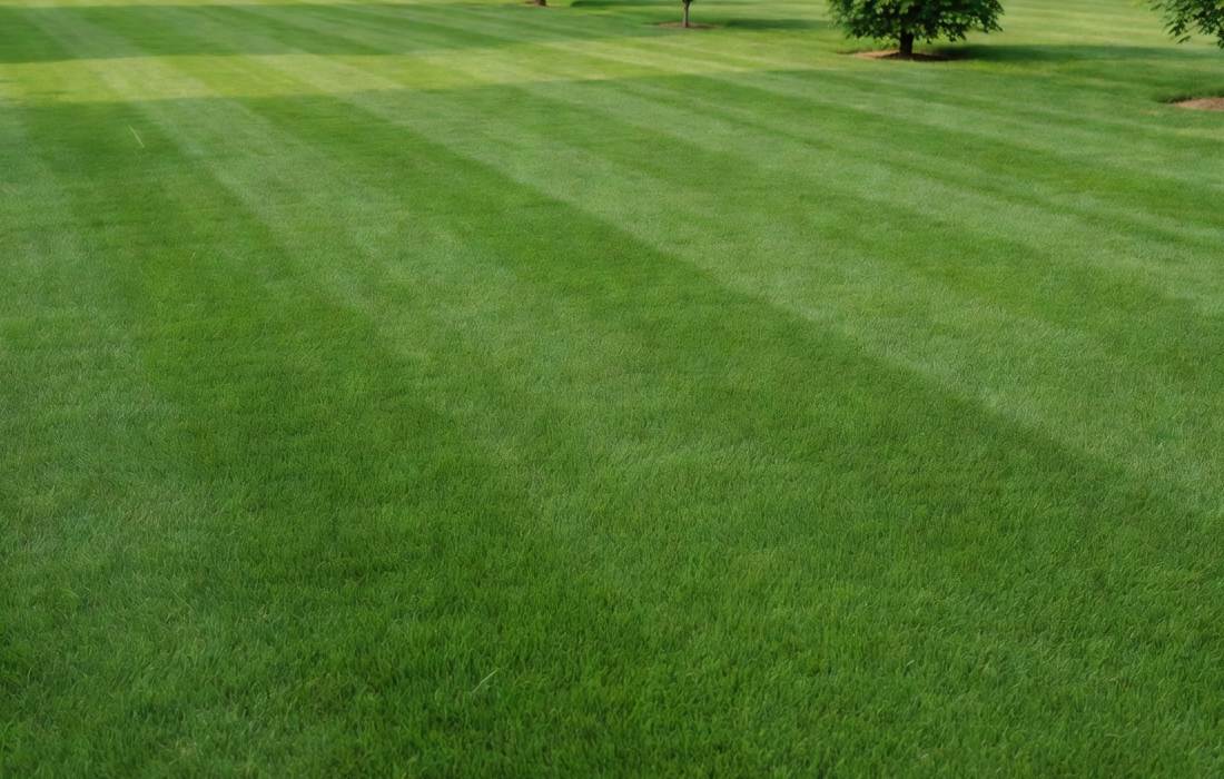 smooth striped lawn without bubbles