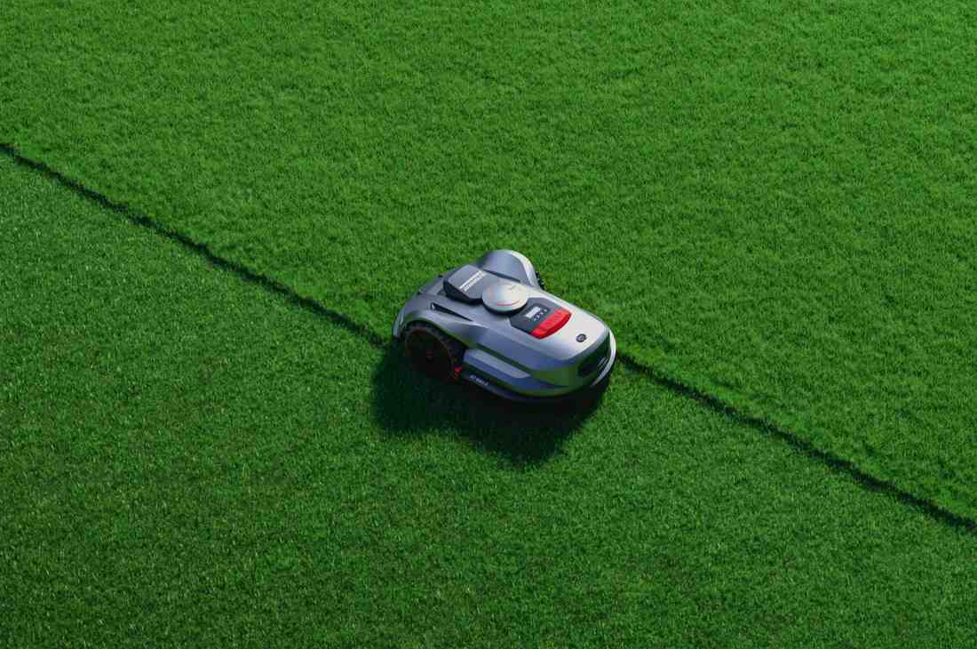 Best Lawn Fertilizer: How to Choose the Right One for Your Lawn