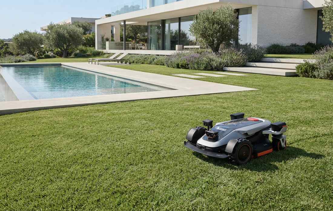 What to Put on Your Lawn in Spring: 8 Lawn Care Steps