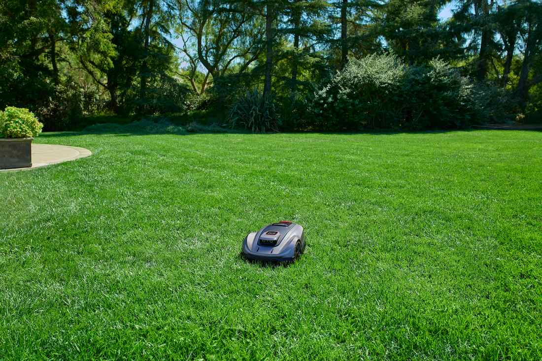  A Robotic Mower on Green Grass