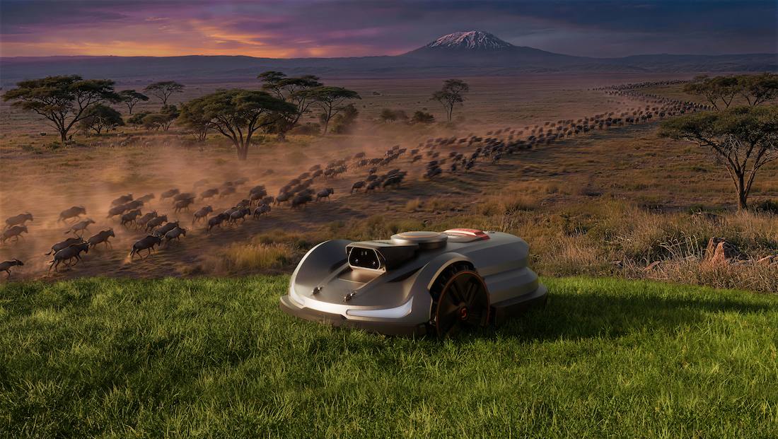 Automated Grass Cutter in Nature