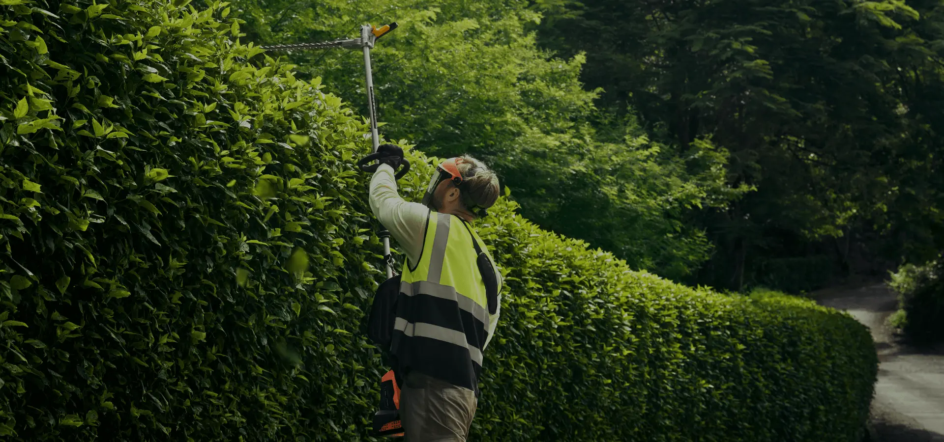 Pole Hedger (On-Board Connect)