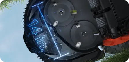 Dual Cutting Disc