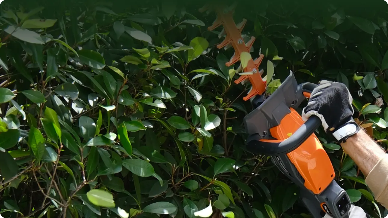 Ρυθμιζόμενη λαβή