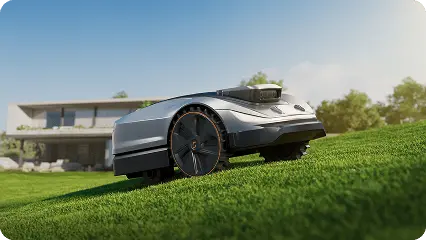 X5 scene