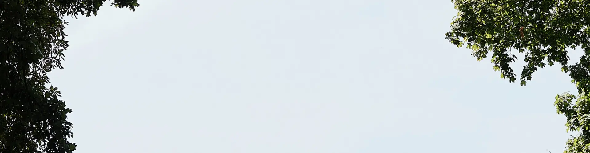 Brzo pronađite distributera u svojoj blizini