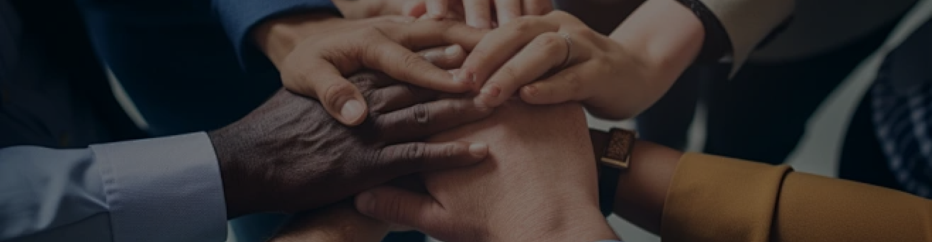 Sunseeker Támogatás