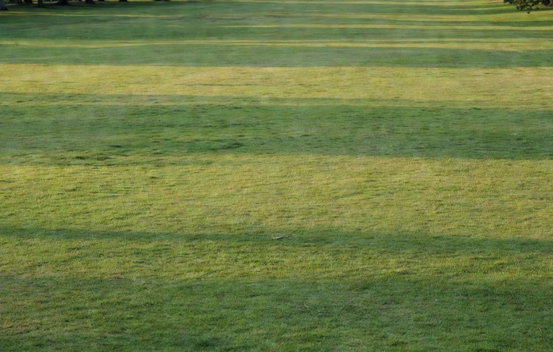 large green lawn freshly cut grass