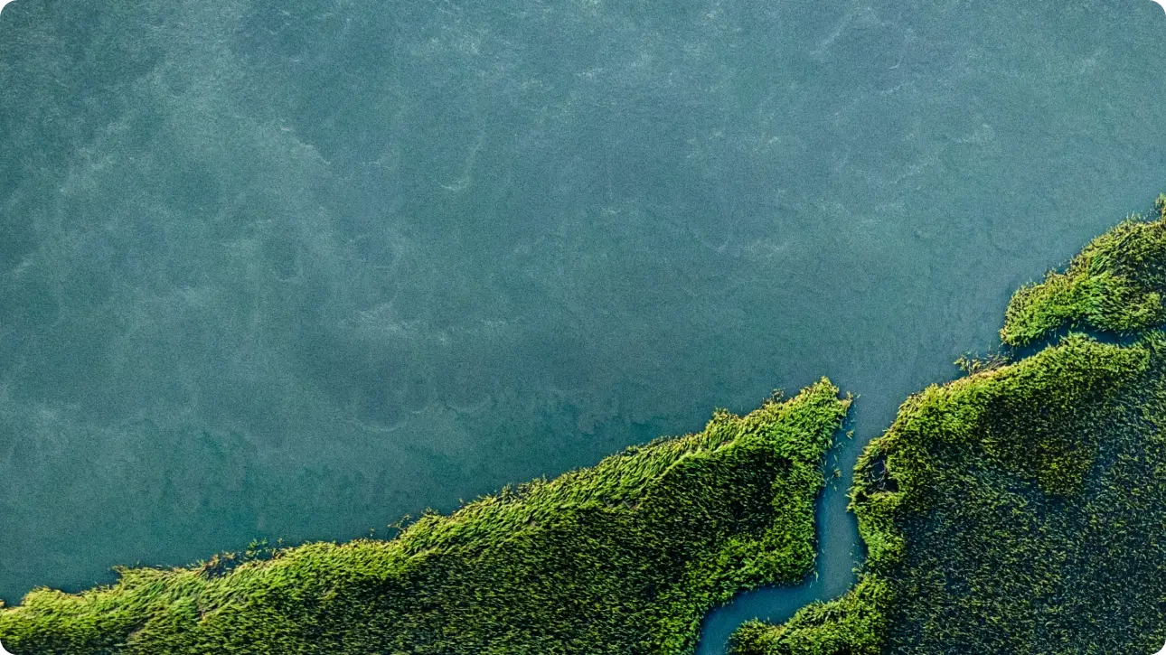 Eco-sostenibilità e sostenibilità senza compromessi