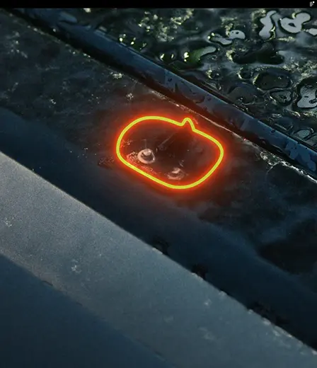 Automatisk regndeteksjon