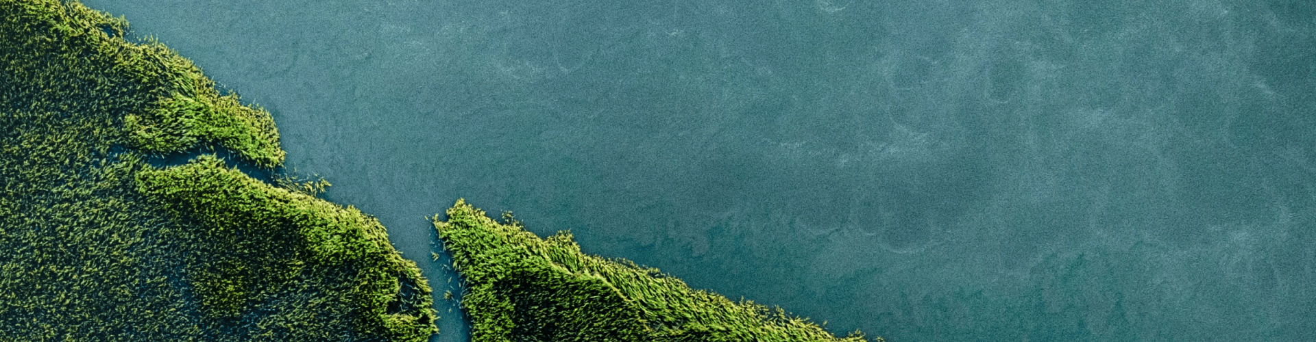 Politika privatnosti