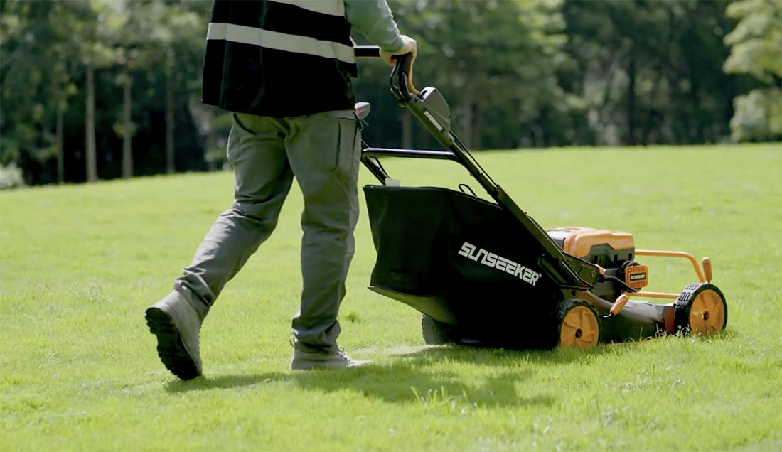 Best Push Mower for Bagging