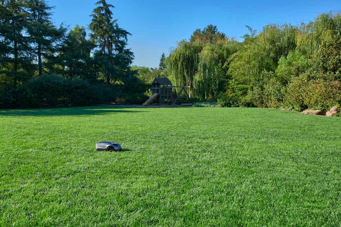 Best Robotic Lawn Mower for Large Lawns
