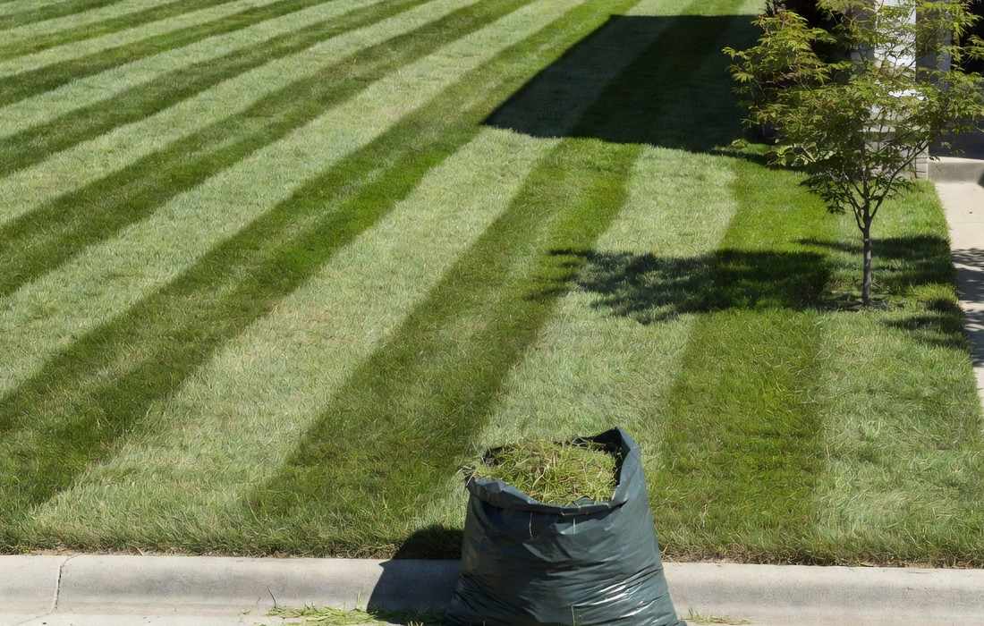 striped lawn grass bag maintenance