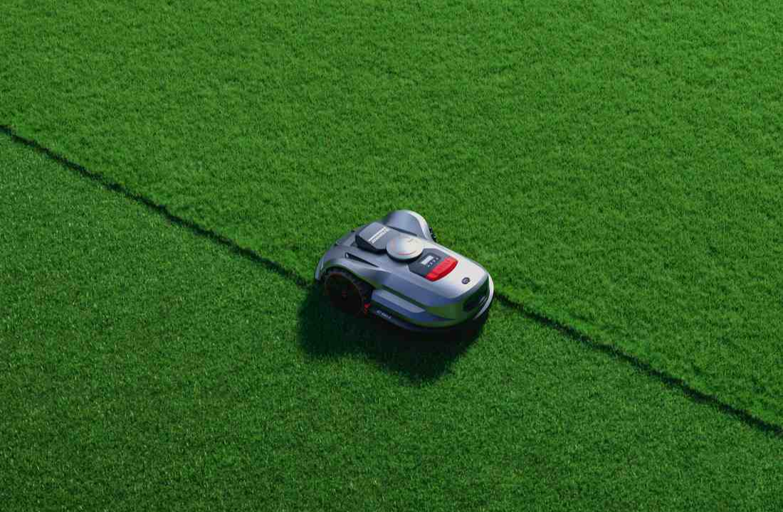 get rid of moles in your lawn