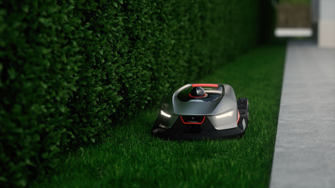 fix dog pee spots on lawn