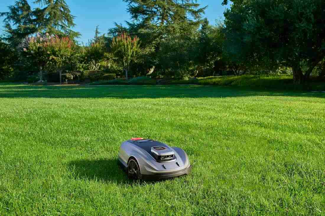 sunseeker elite x5 quackgrass lawn care