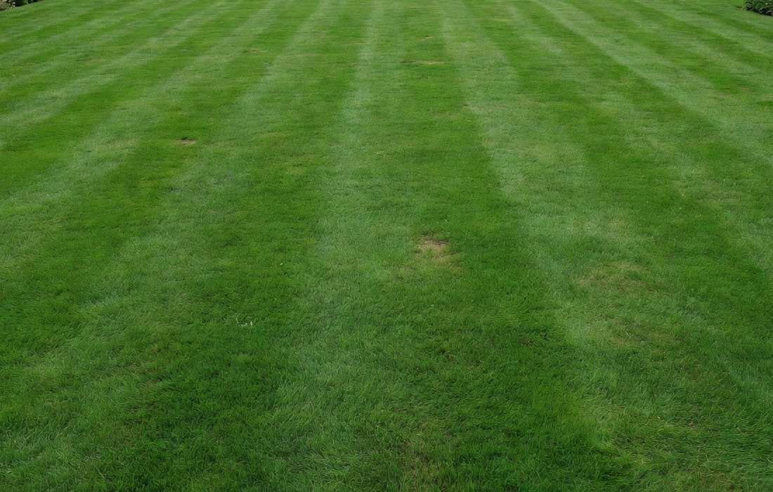 lawn with dry patches from watering