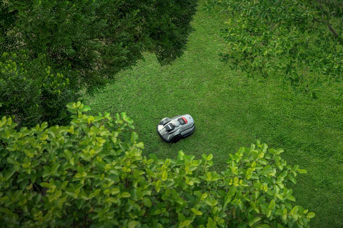 lawn mowing robot in garden