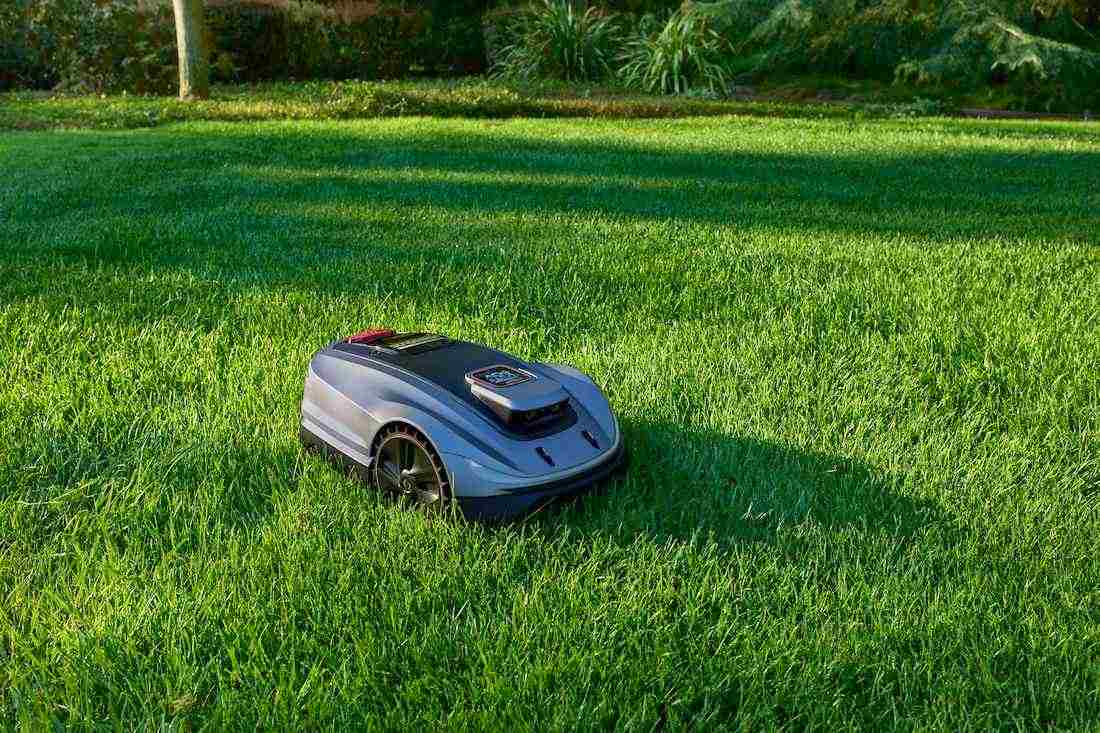 sunseeker elite x5 bermuda lawn mowing