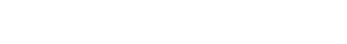 Sunseeker Elite X3 Plus