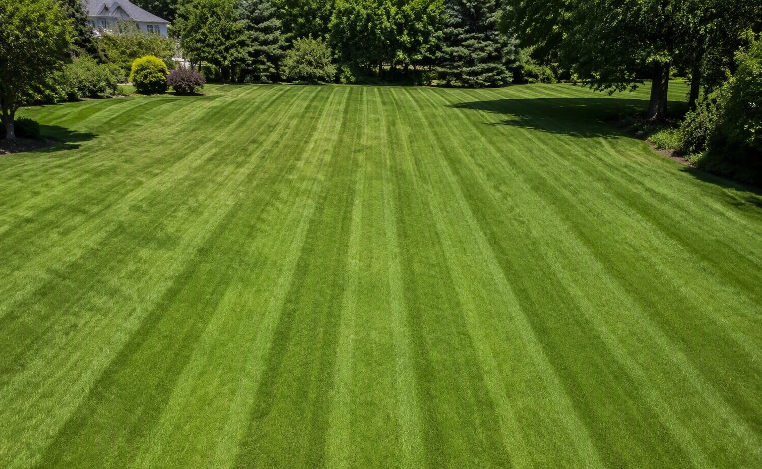 An open lawn with neat parallel mowing stripes suggesting a planned route