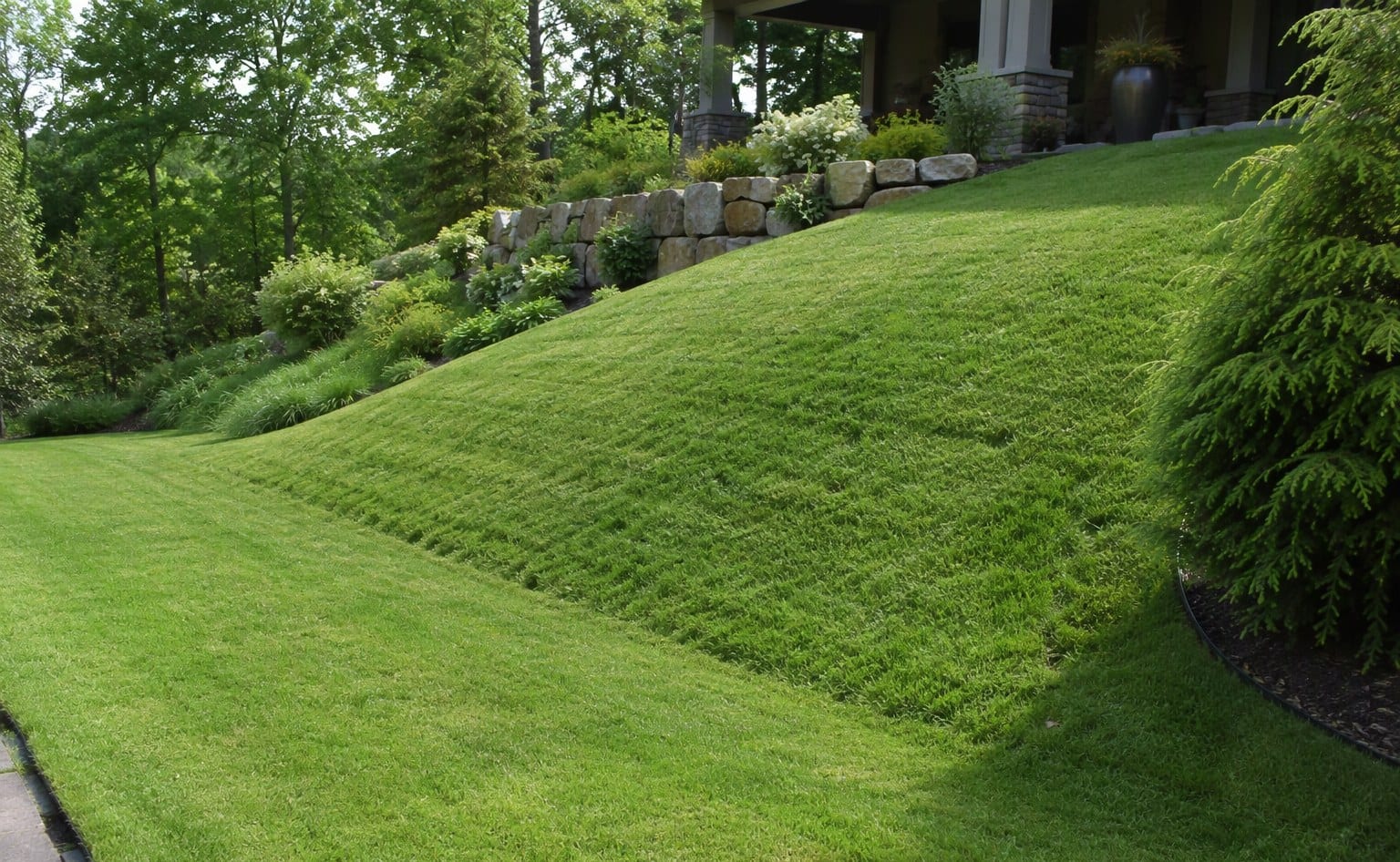A residential lawn with a clear natural grassy slope
