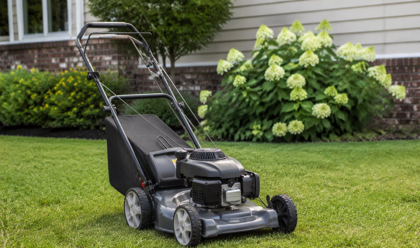 Push lawn mower being guided across a small residential lawn