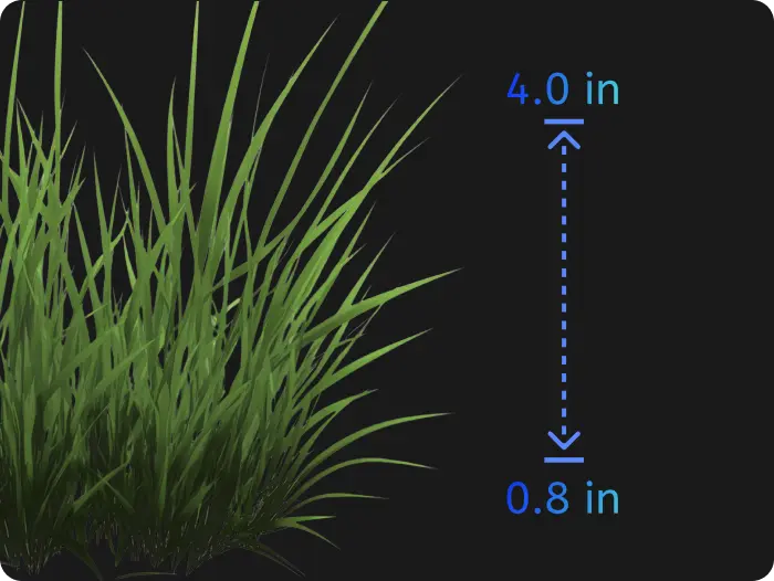 Electric Cut Height (0.8-4.0 in)